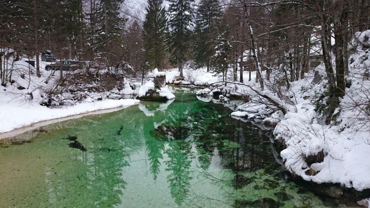 Apartment Amazing View Bohinj Εξωτερικό φωτογραφία