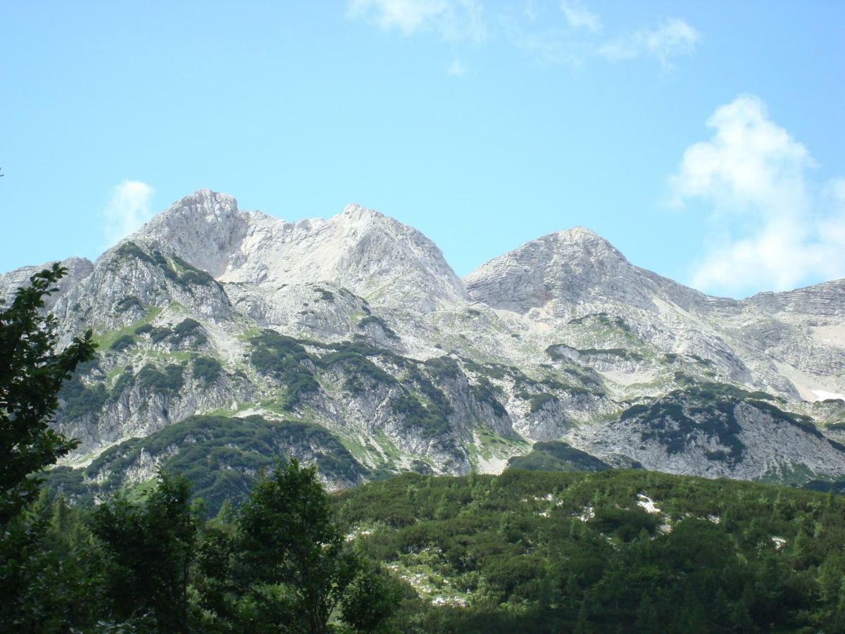 Apartment Amazing View Bohinj Εξωτερικό φωτογραφία
